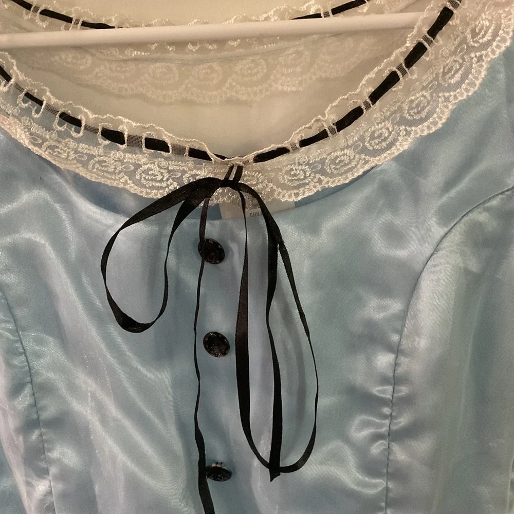 Alice in Wonderland Costume Dress Kids Large Blue Satin Lace Heart Rose 00659V